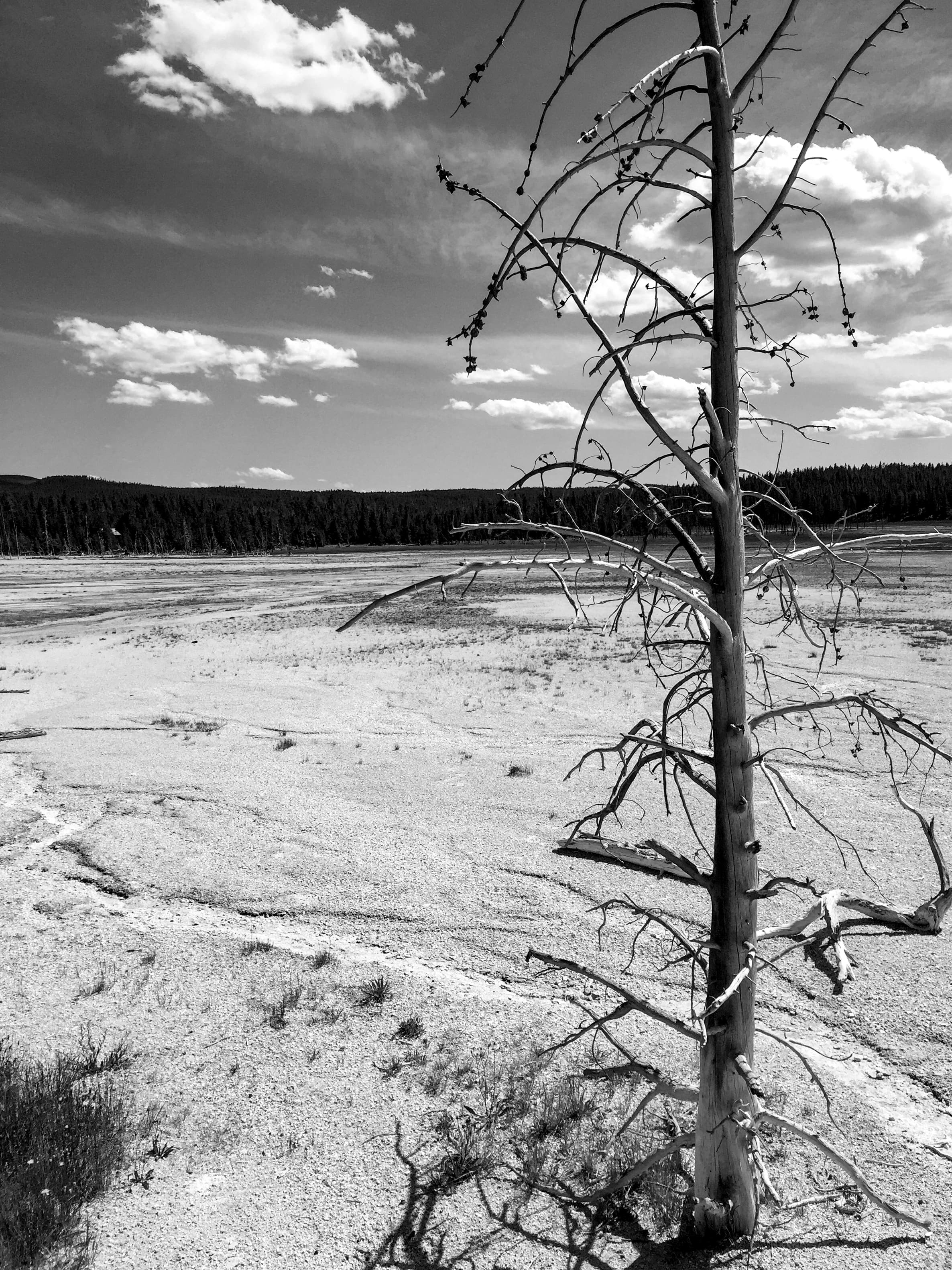 Dry Lake preview